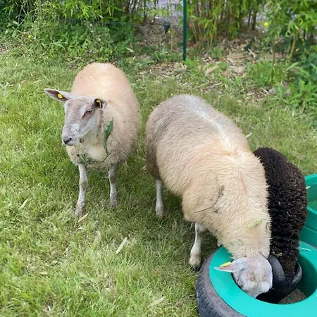 L'odon בית נופש *