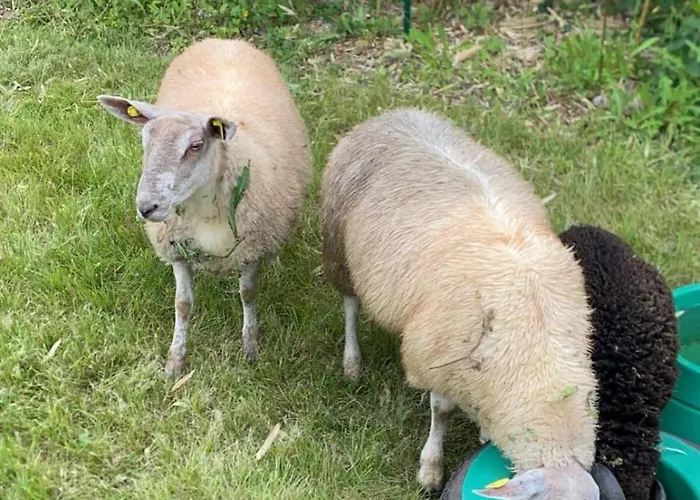 L'odon Semesterbostad *